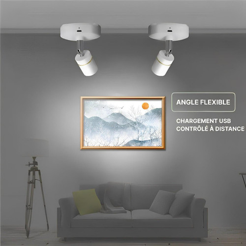 Spot Directionnel Led Intérieur