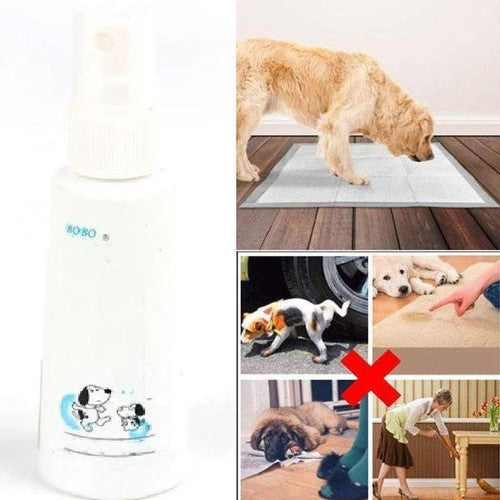 Spray Éducateur De Propreté Pour Chiots - Anti-pipi