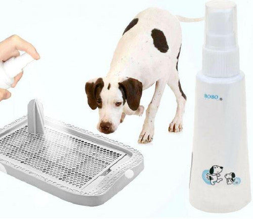 Spray Éducateur De Propreté Pour Chiots - Anti-pipi