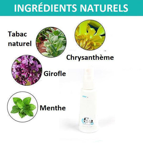 Spray Éducateur De Propreté Pour Chiots - Anti-pipi