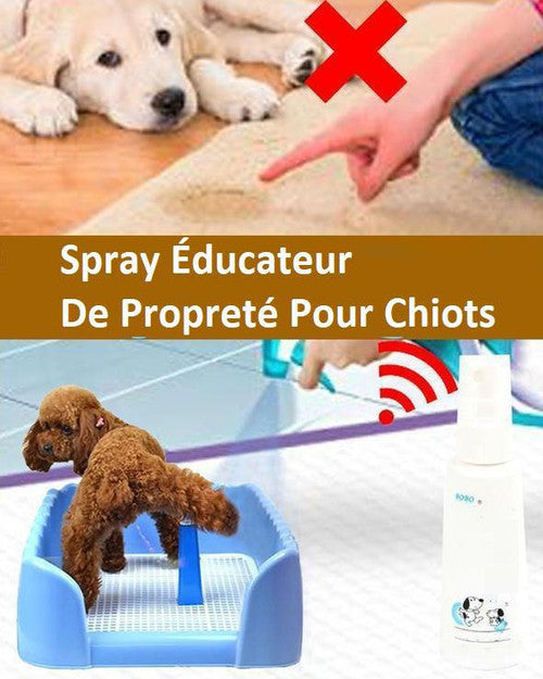 Spray Éducateur De Propreté Pour Chiots - Anti-pipi