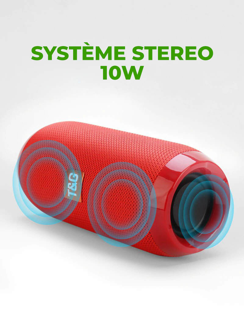 Enceinte Bluetooth Portable