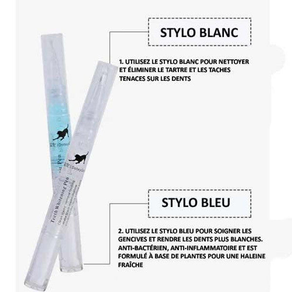 Stylo Nettoyant Dent Pour Chien