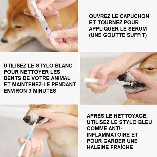 Stylo Nettoyant Dent Pour Chien