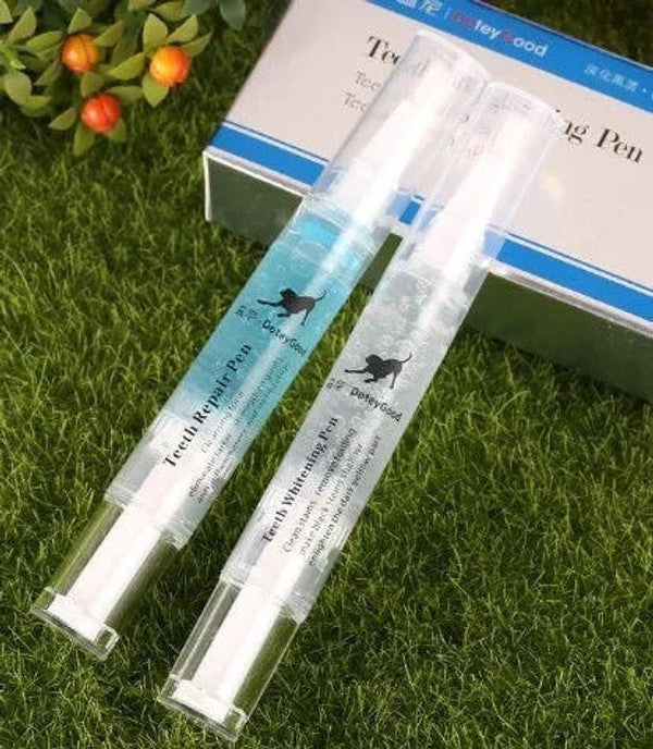 Stylo Nettoyant Dent Pour Chien