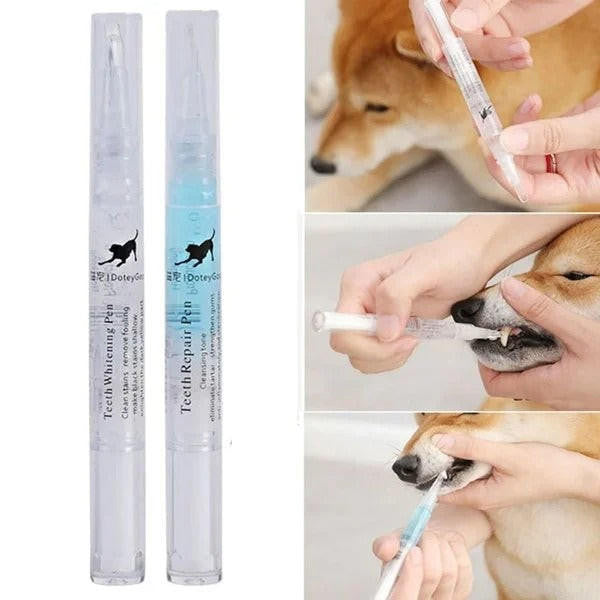 Stylo Nettoyant Dent Pour Chien