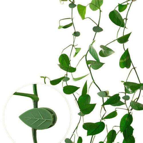 Support Mural Pour Plantes