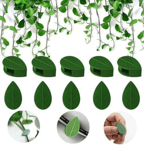 Support Mural Pour Plantes