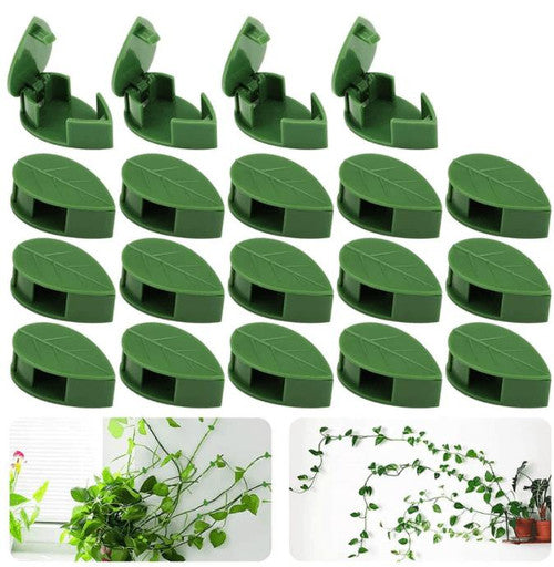 Support Mural Pour Plantes