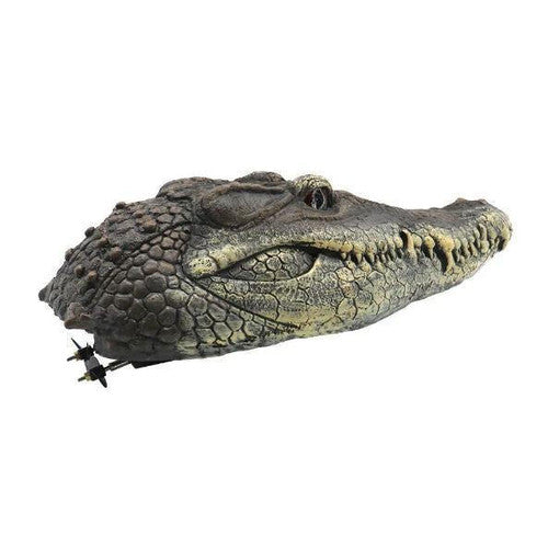 Tête De Crocodile Avec Télécommande