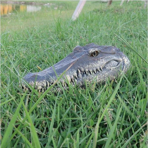Tête De Crocodile Avec Télécommande