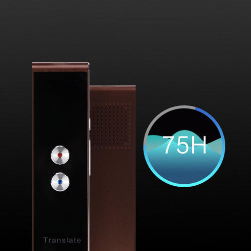 Traducteur Portable Vocal
