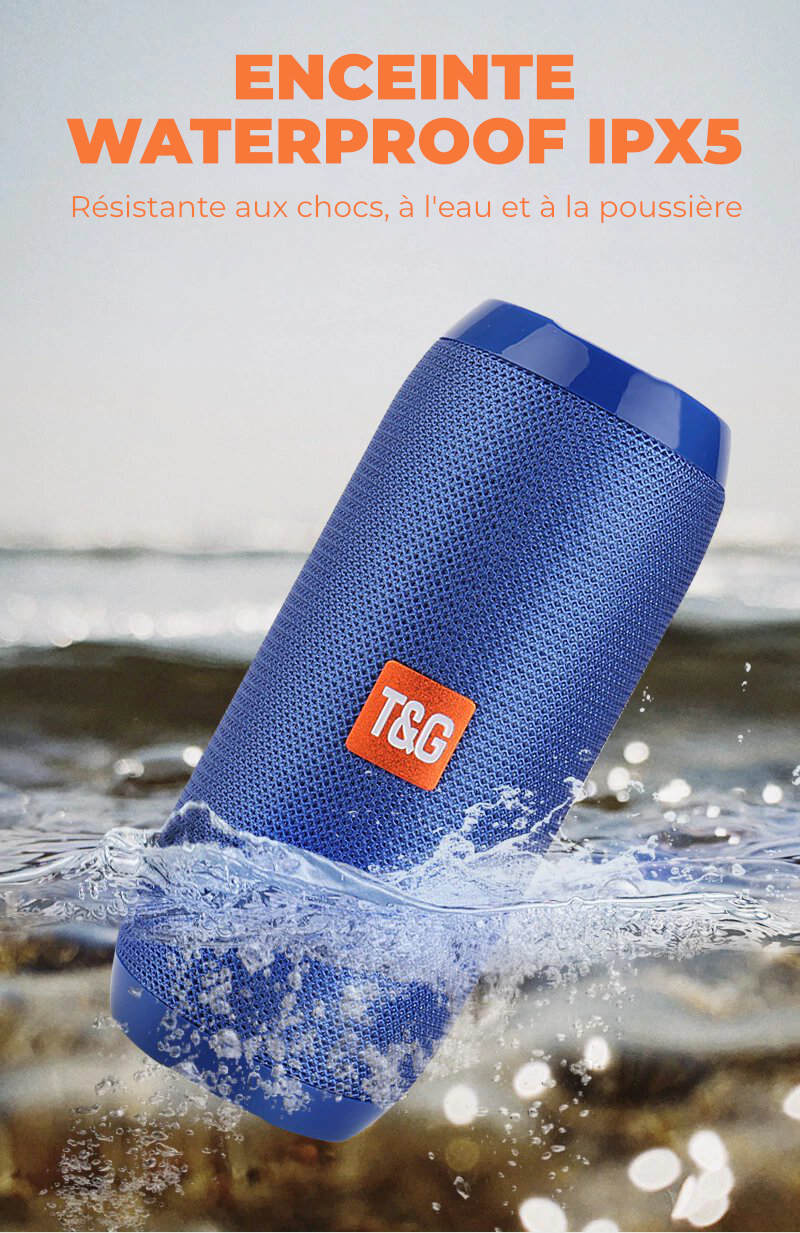 Enceinte Bluetooth Portable