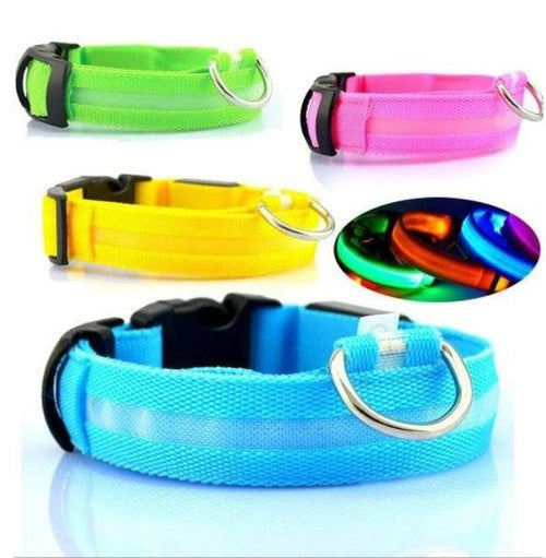 Collier Lumineux Pour Chien