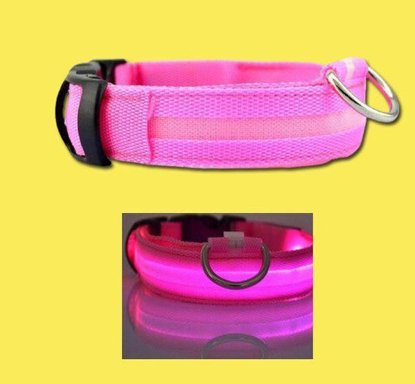 Collier Lumineux Pour Chien