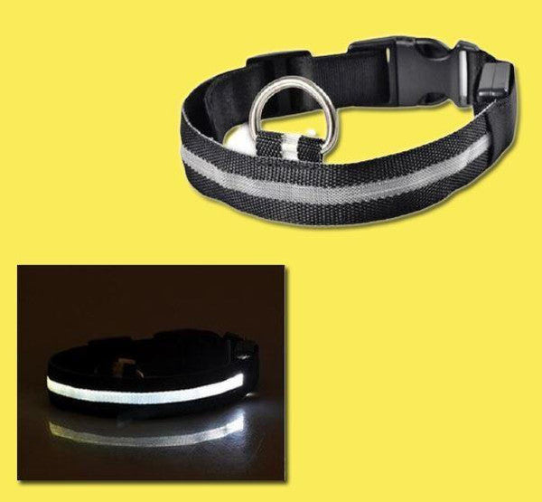 Collier Lumineux Pour Chien