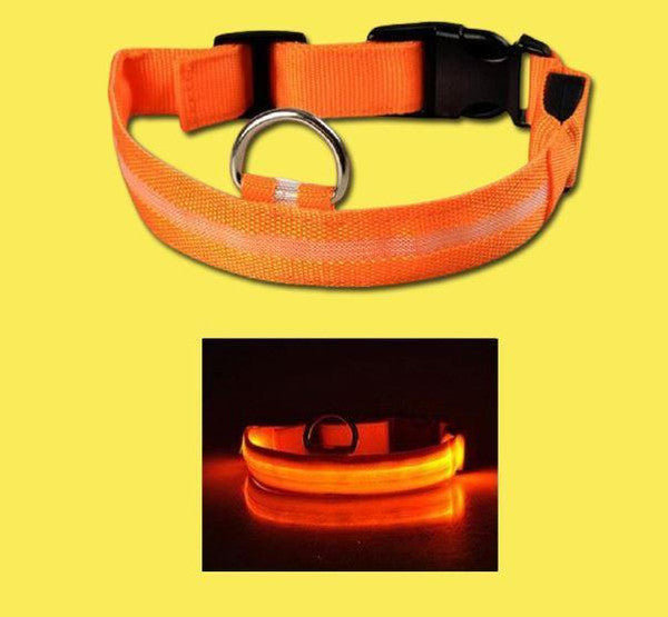 Collier Lumineux Pour Chien