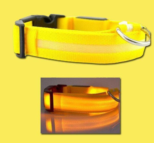 Collier Lumineux Pour Chien