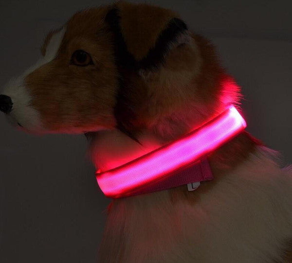 Collier Lumineux Pour Chien