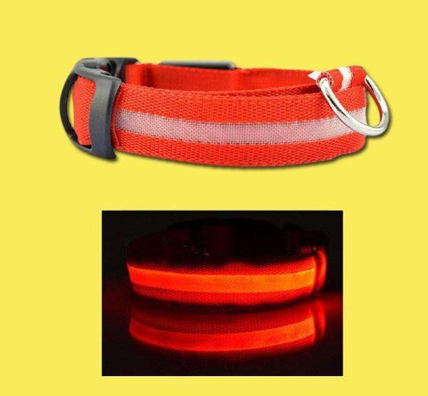 Collier Lumineux Pour Chien