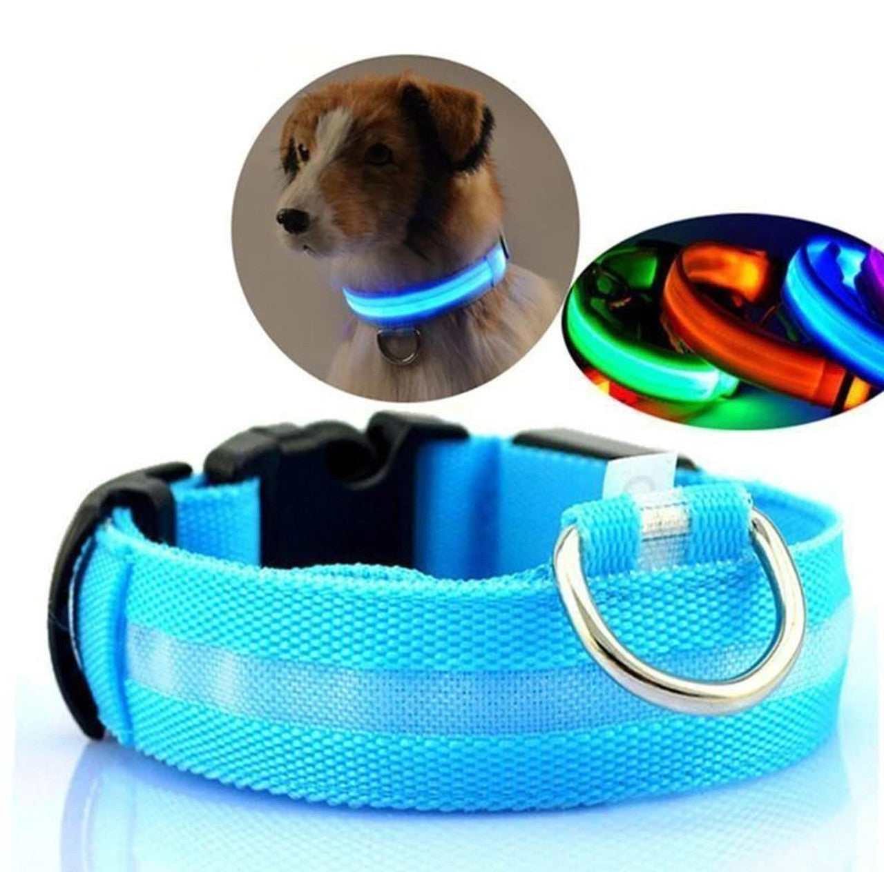 Collier Lumineux Pour Chien