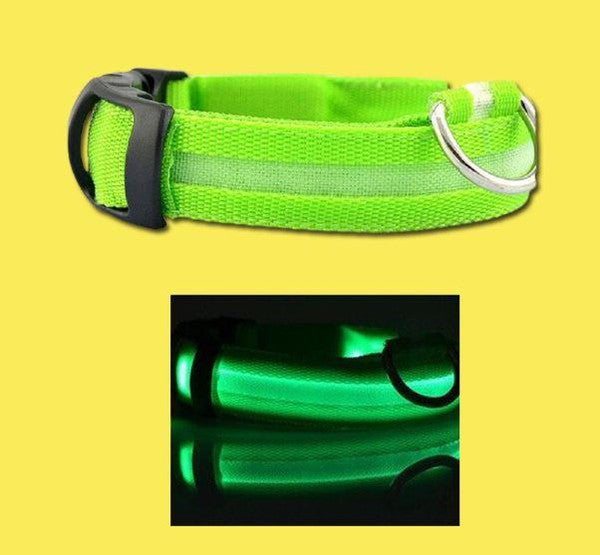 Collier Lumineux Pour Chien