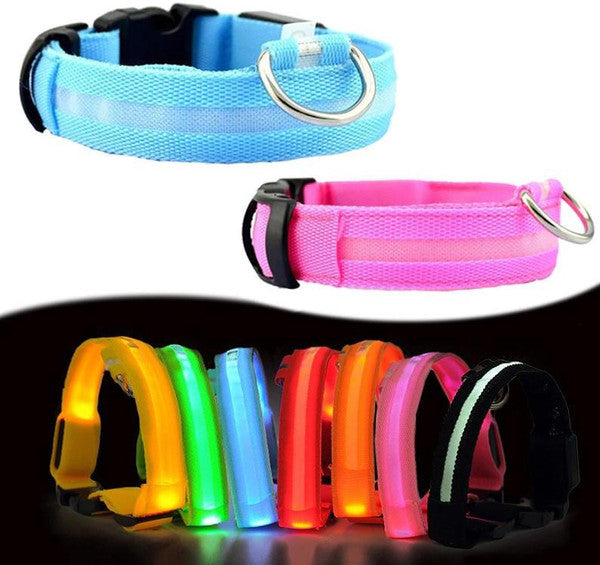 Collier Lumineux Pour Chien