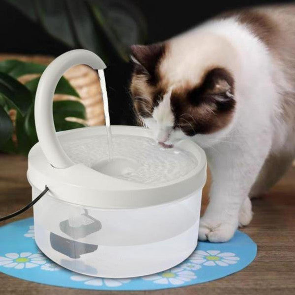 Fontaine à Eau Pour Chat - CatClaire™