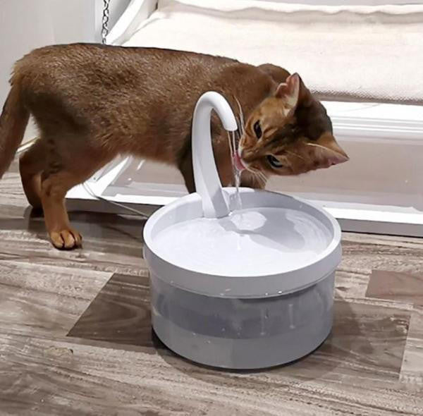 Fontaine à Eau Pour Chat - CatClaire™