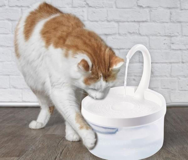 Fontaine à Eau Pour Chat - CatClaire™