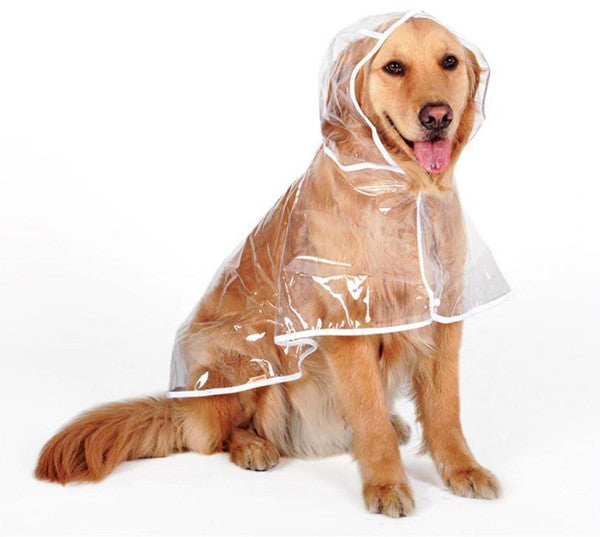 Imperméable Transparent Pour Chien