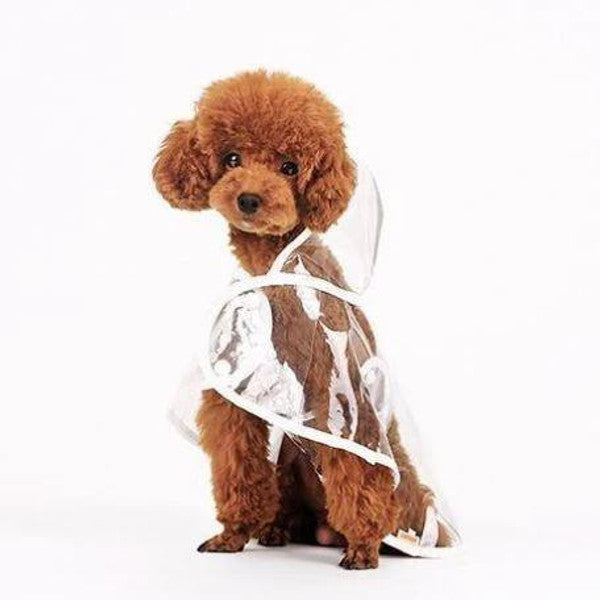 Imperméable Transparent Pour Chien