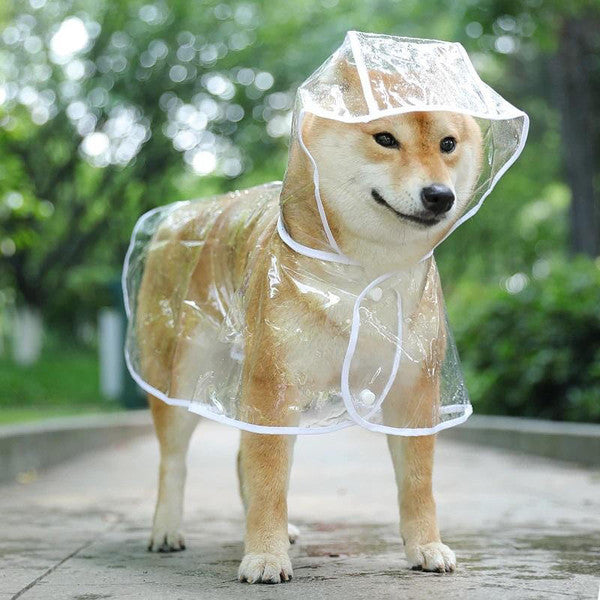Imperméable Transparent Pour Chien