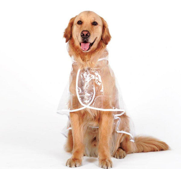 Imperméable Transparent Pour Chien