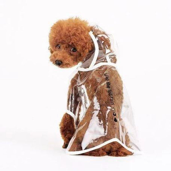 Imperméable Transparent Pour Chien