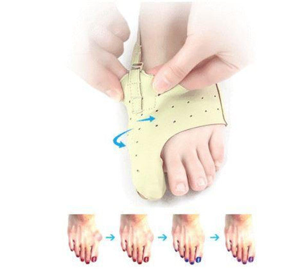Oignon correcteur