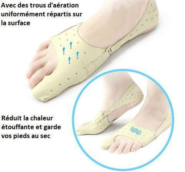 Oignon correcteur