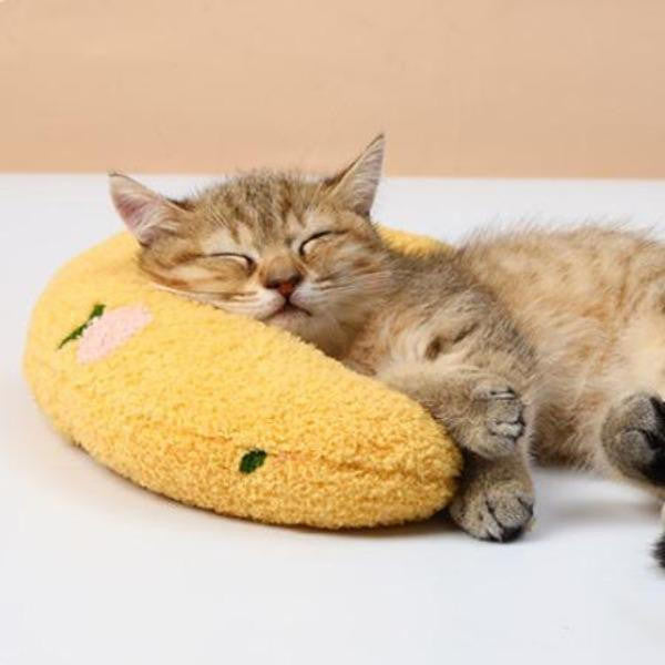 Oreiller Doux Et Confortable Pour Chat