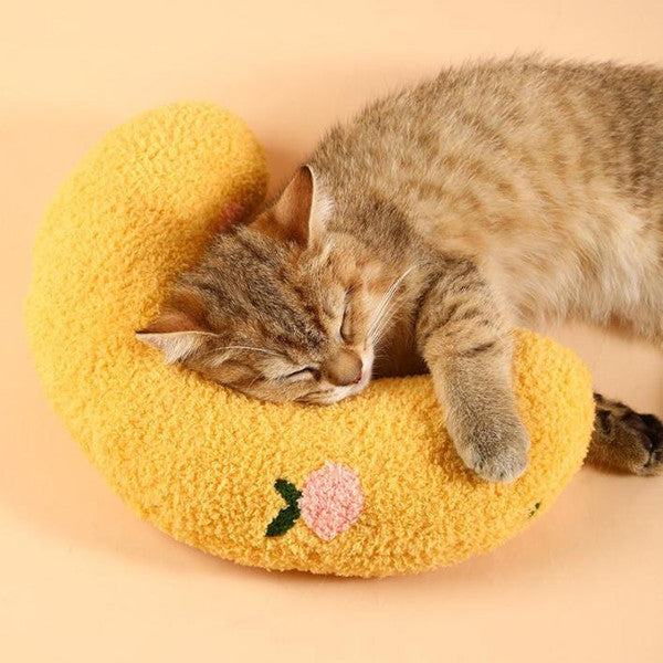 Oreiller Doux Et Confortable Pour Chat