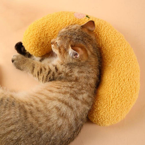 Oreiller Doux Et Confortable Pour Chat