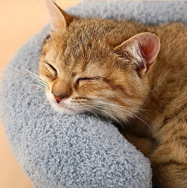 Oreiller Doux Et Confortable Pour Chat