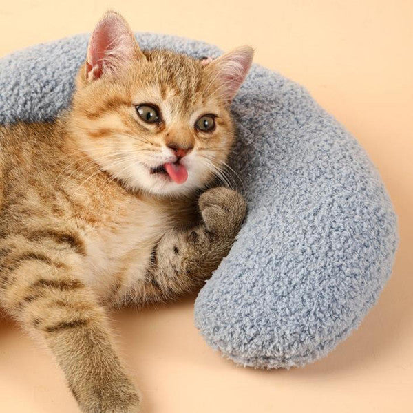 Oreiller Doux Et Confortable Pour Chat