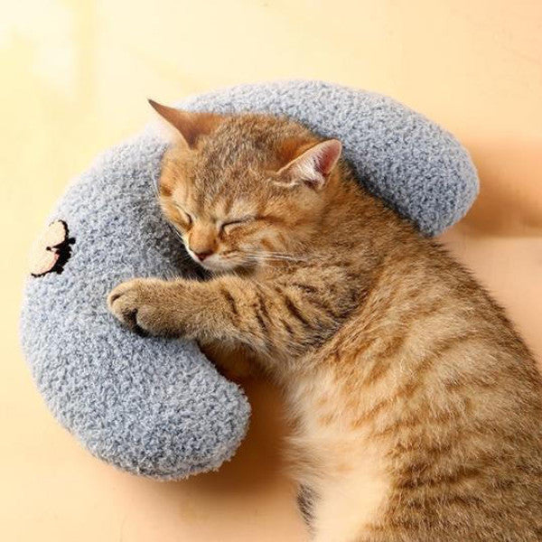 Oreiller Doux Et Confortable Pour Chat