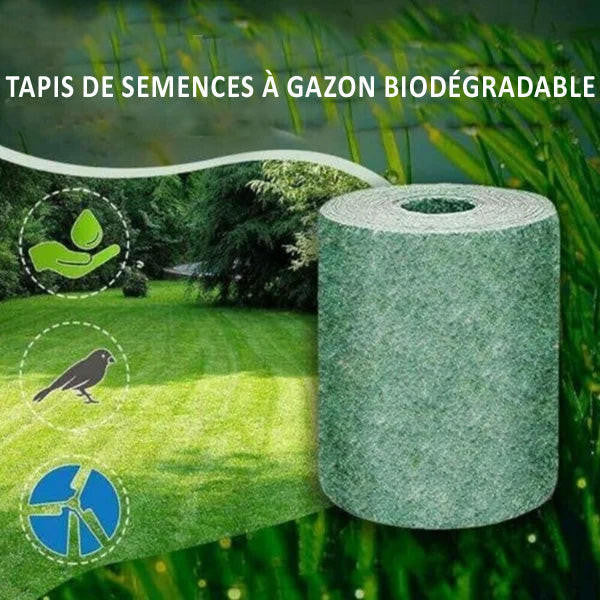 Tapis De Semences à Gazon