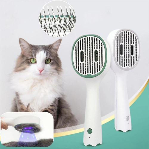 Brosse Pour Chien Et Chat Désinfectante