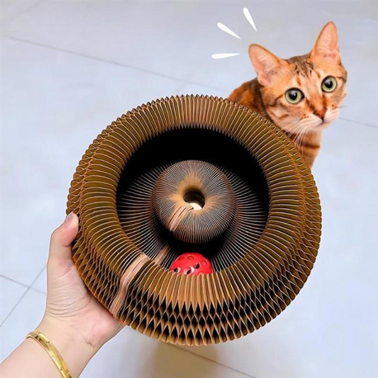 Jouet Pour Chat Intéractif Avec Balle Et Griffoir