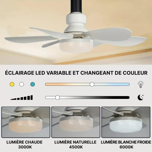 Ventilateur De Plafond Avec Lumière Led Et Télécommande