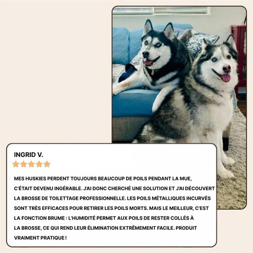 Brosse Carde - Toilettage Pour Chien Et Chat