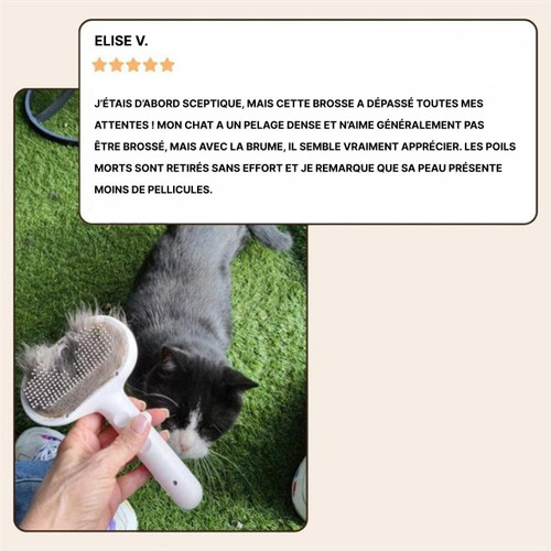 Brosse Carde - Toilettage Pour Chien Et Chat