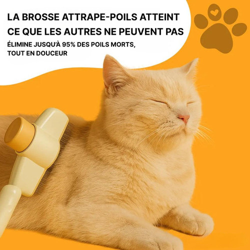 Brosse Pour Chat à Poils Longs - Courts Et Épais